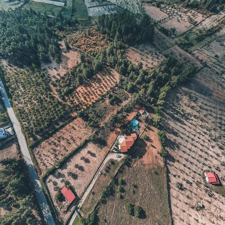 Lugar dos Vales-Memorável, Encantador e Autêntico! Mirandela Exterior foto